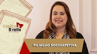 Explica Direito Filiação Socioafetiva  2019 [upl. by Atteselrahc]