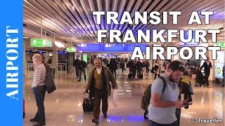 TRANSIT WALK AT FRANKFURT Airport FRA Terminal 1  Connection Flight Transfer Arriving amp Departing [upl. by Ahsinauq]